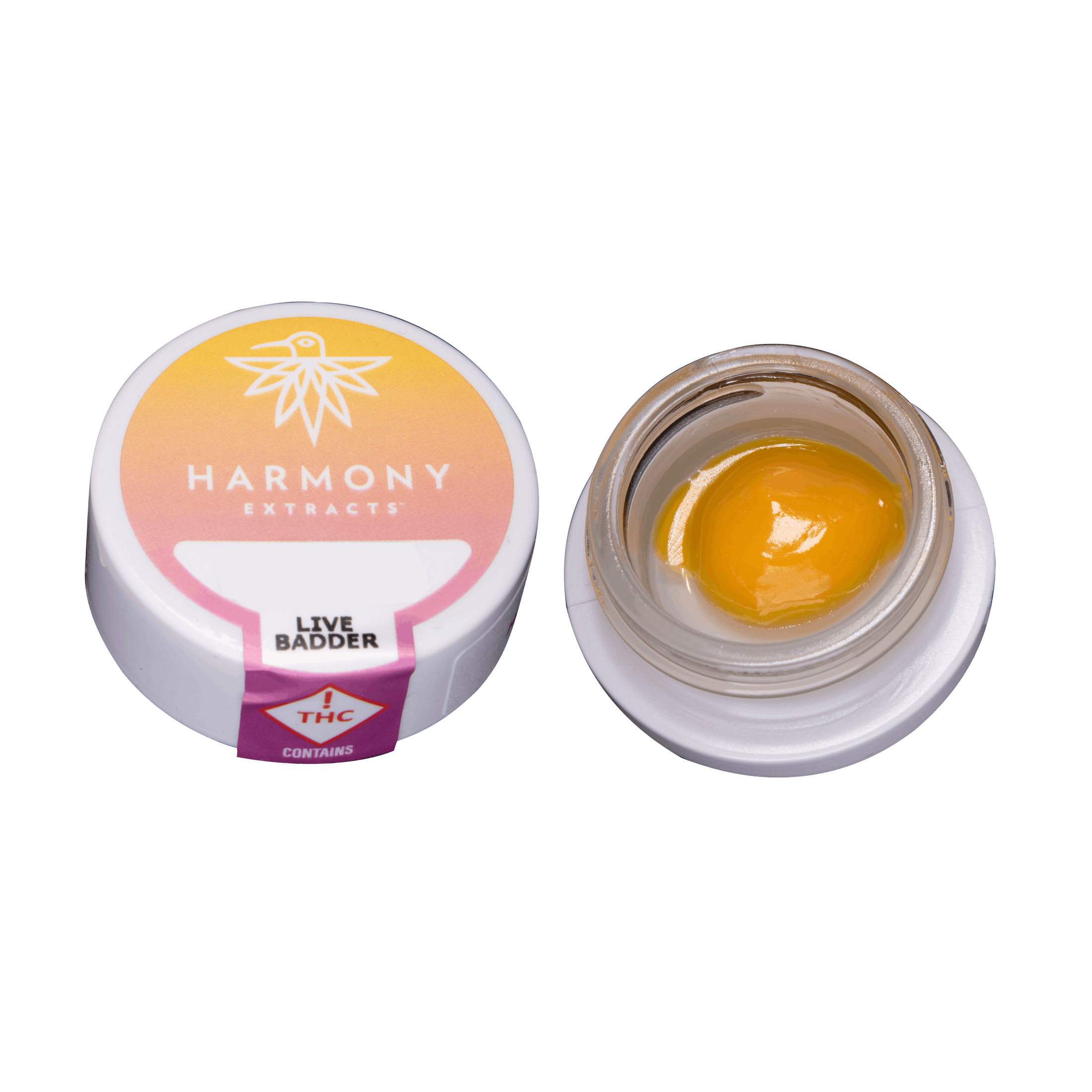 Photograph of product: Harmony Spider Monkey Live Badder 1g {Oui'd}