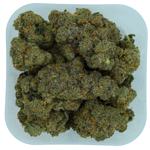 Photograph of product: Level Up II Bigs Gary Payton (IW) - 28g