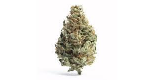 Photograph of product: SUMMIT - Diesel Sorbet (H) - CHOICE - 7g