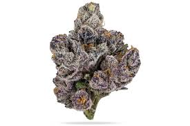 Photograph of product: Gassius Clay - 3.5g - Flower