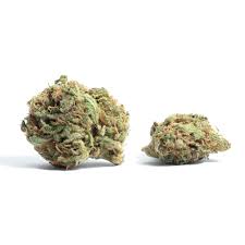 Photograph of product: NTH FARMS - Bulk Flower - Bustin' Sudz - 7g