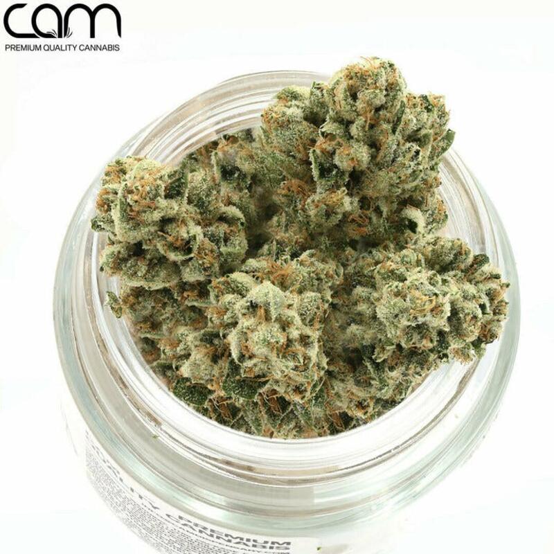 Photograph of product: Cam | Cam's La Kush   3.5 G - 3.5g