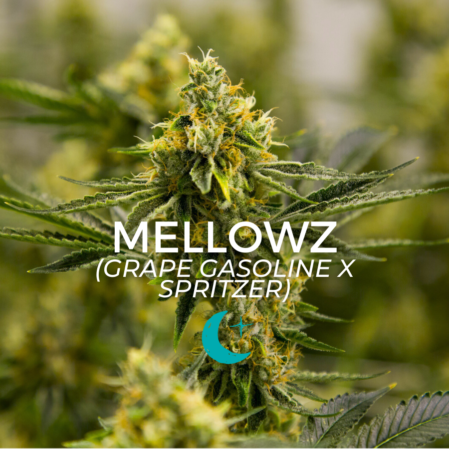 Photograph of product: Mellowz - 14g