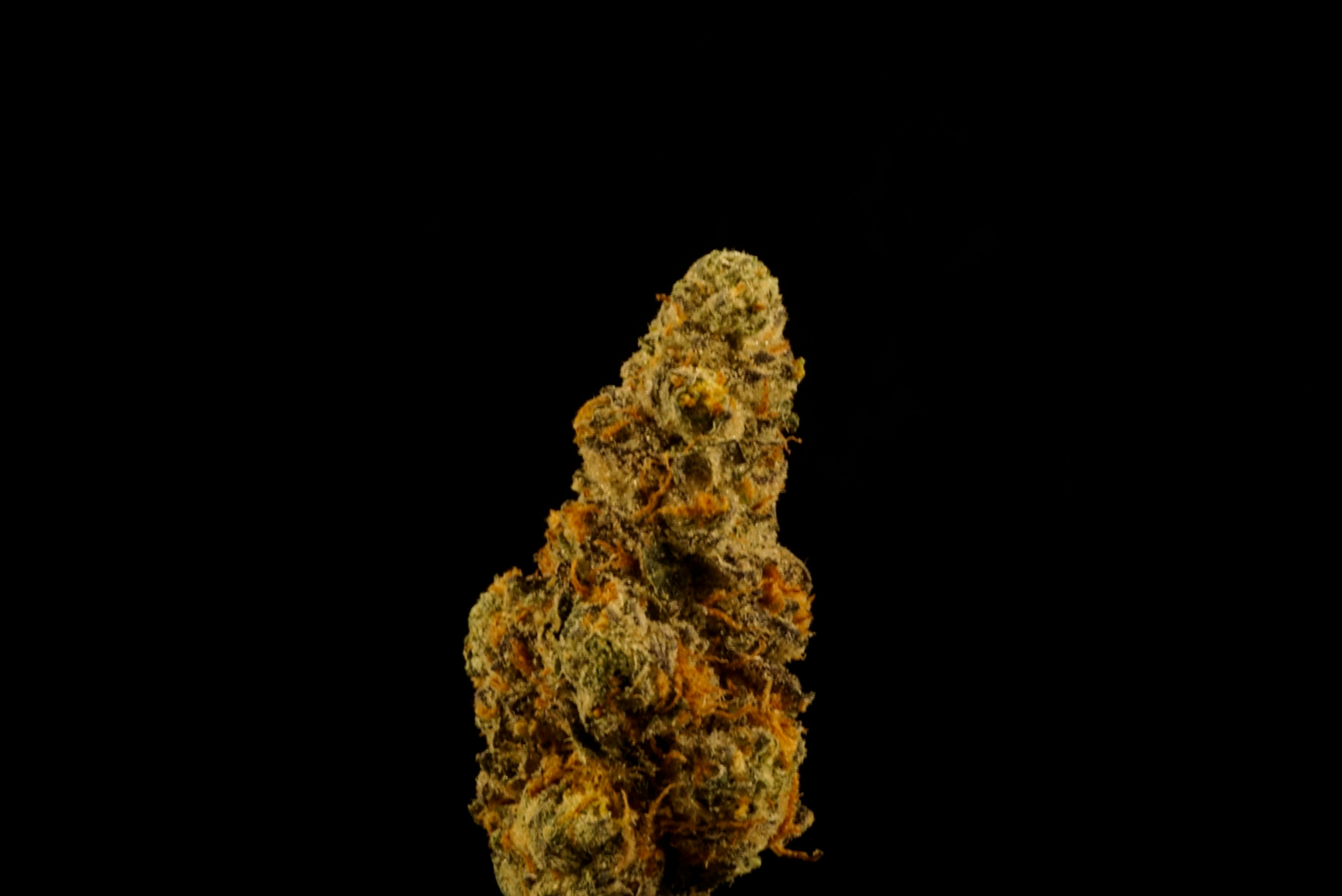 Photograph of Product: Mr. Nasty