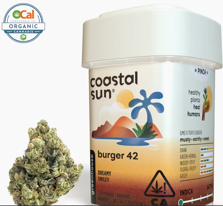 Photograph of product: Coastal Sun Burger 42 Oui'd Greenhouse Flower 3.5g