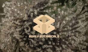 Photograph of Product: Burly Botanicals - Extract - Platinum Scout #19 Live Hash Rosin