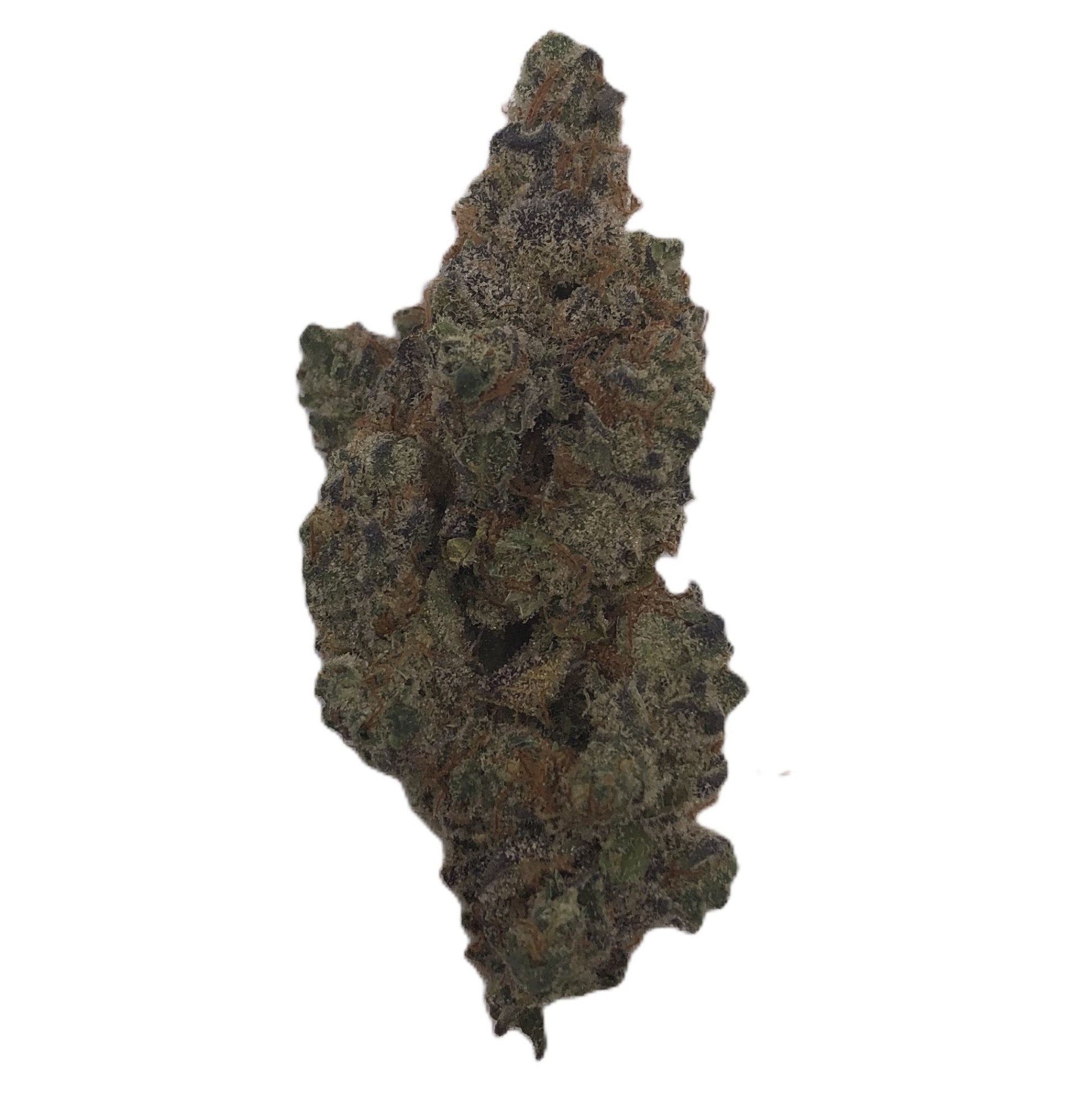 Photograph of product: Pruf Cultivar Island Blends #10 - 28g