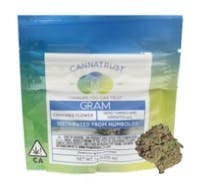 Photograph of product: Blueberry Zkittlez - 1g - 