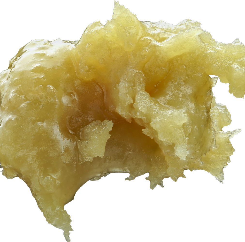 Photograph of product: WOJO | BEACH WEDDING | Oui'd | LIVE ROSIN | 1G | REC