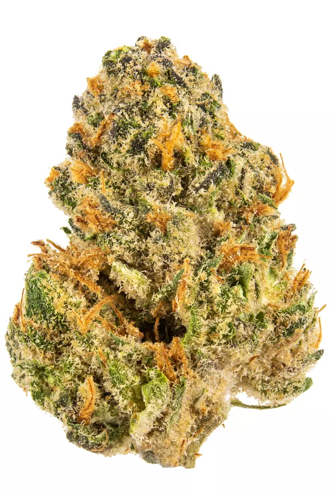 Photograph of Product: SherBurger - 3.5g