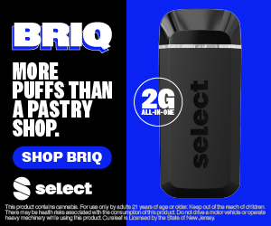 Photograph of product: Select Briq | Maui Wowie | Disposable Vape | 2g