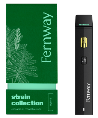 Photograph of product: Fernway | All-In-One Traveler | Headband