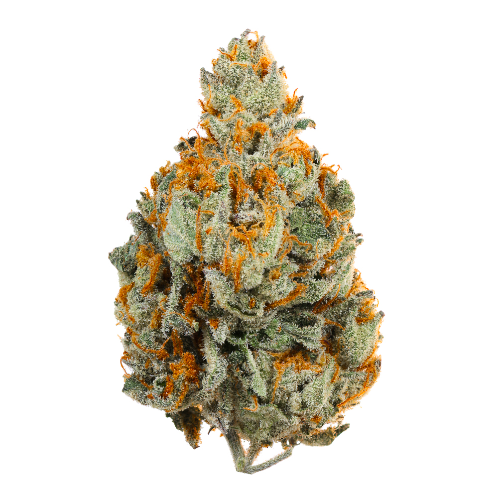 Photograph of product: DURBAN CITRON BISCOTTI 3.5G