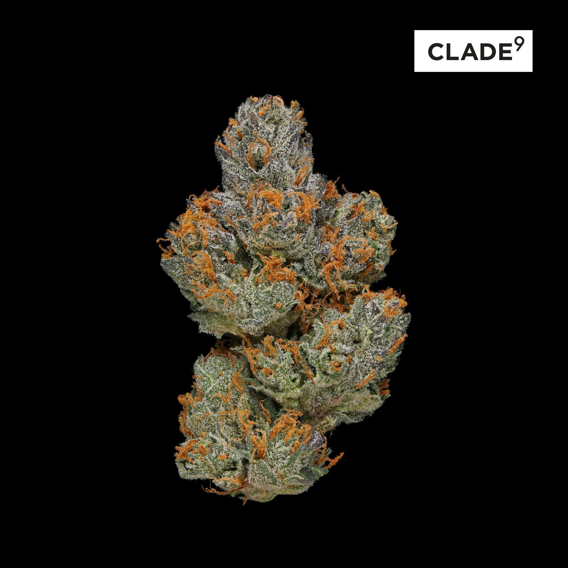 Photograph of product: Clade 9 | LA Piff | Hybrid | Flower | 3.5g