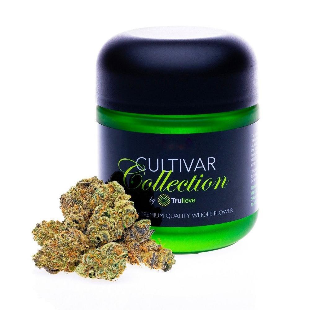 Photograph of Product: Cultivar Collection Pre-Pack - Firecracker - 3.5g