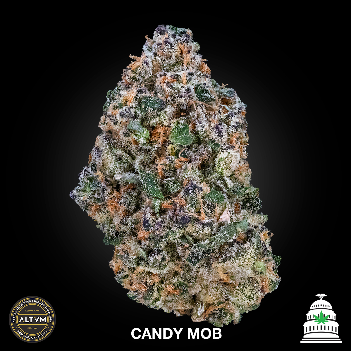 Photograph of product: Candy Mob - Altvm Flower - 14g