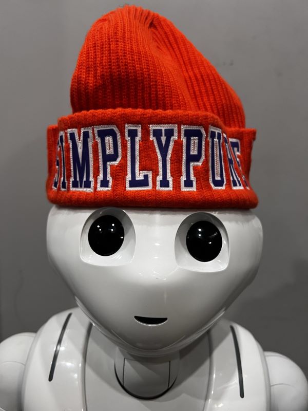 Photograph of product: SPT Knit Hat