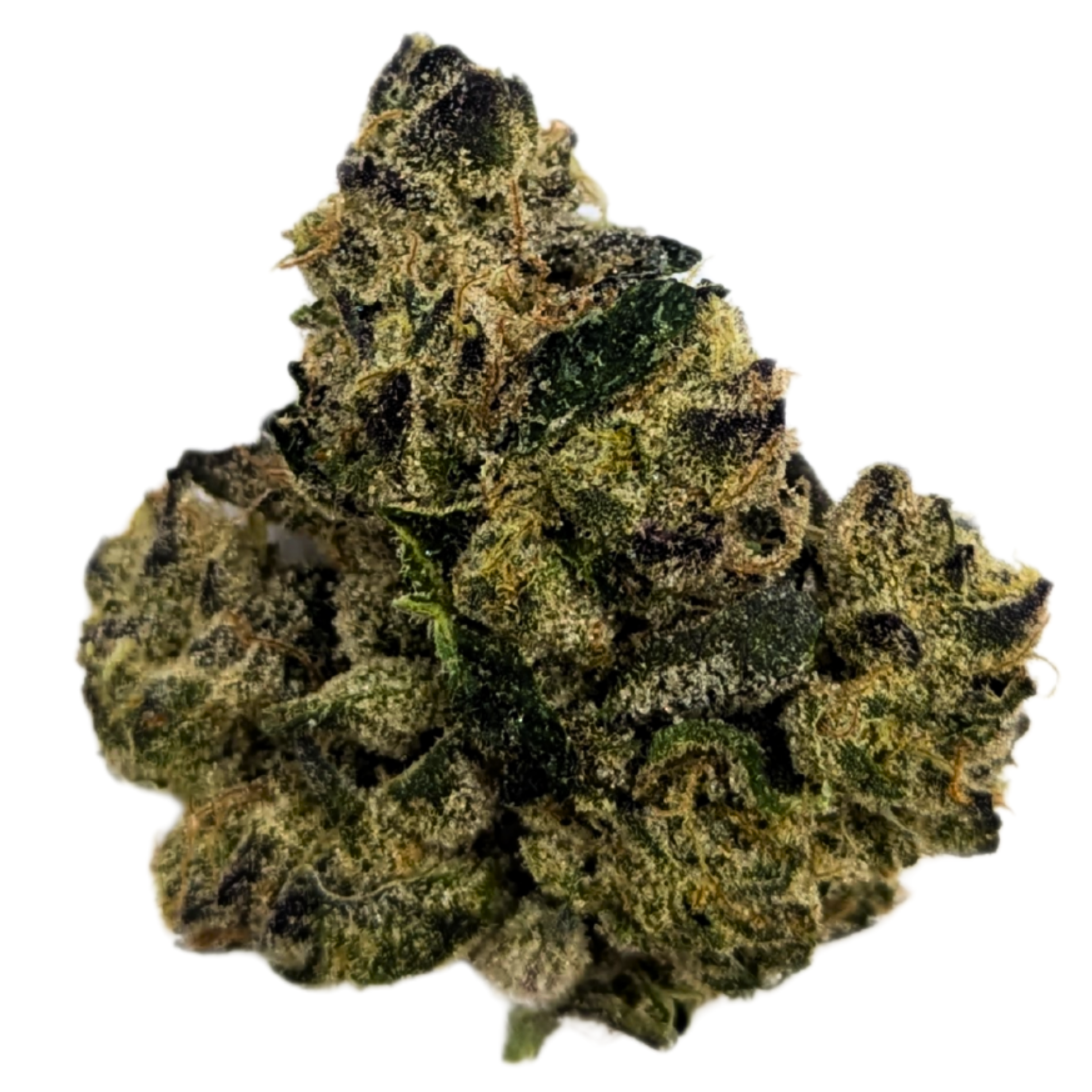 Photograph of Product: Bacio | 1/8 Indoor Flower | - 3.5g