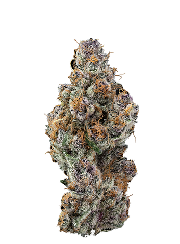 Photograph of product: Frozen Blueberries Buds - 3.5g