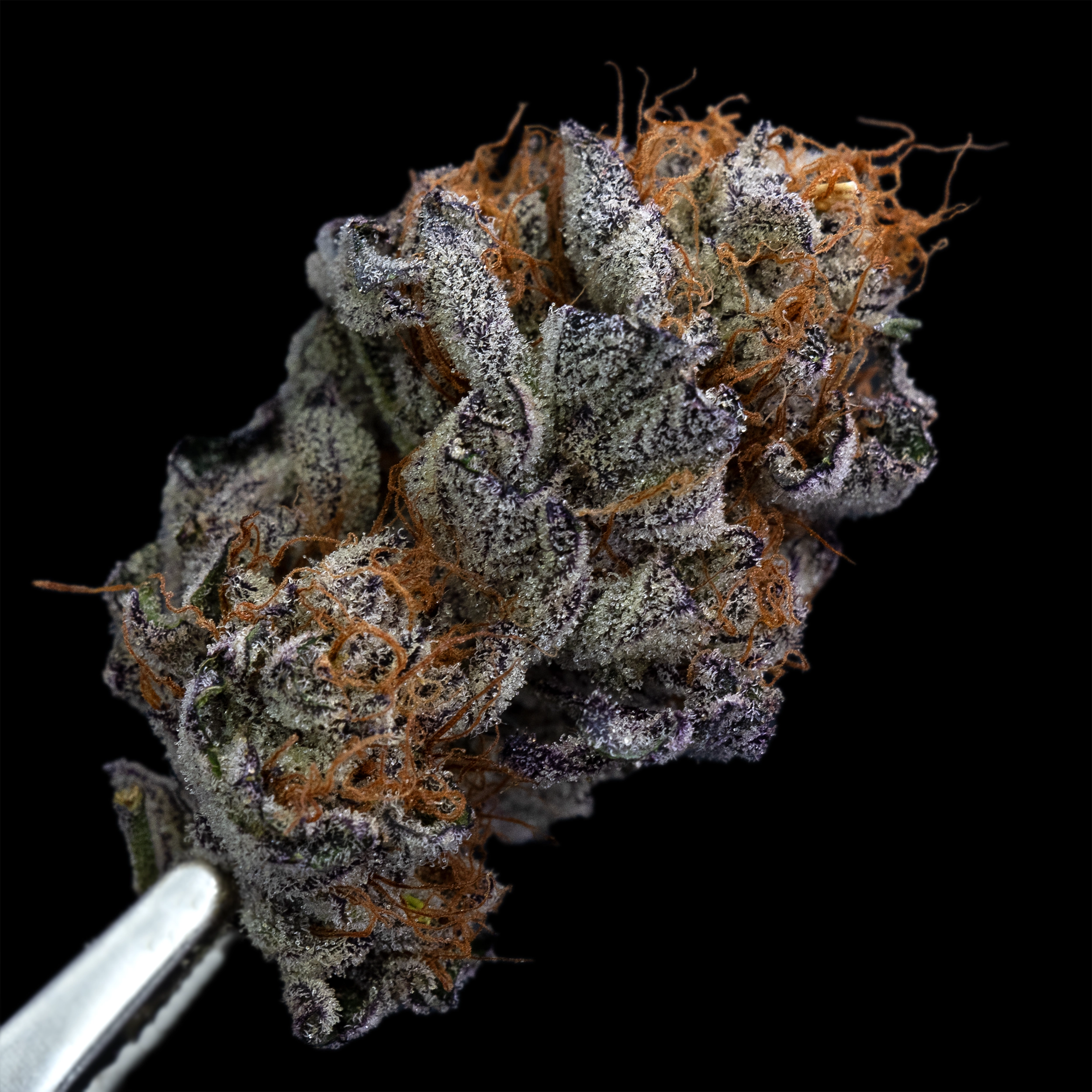Photograph of Product: 3.5g Soap - Living Soil Cannabis - Upstate Elevator Operators