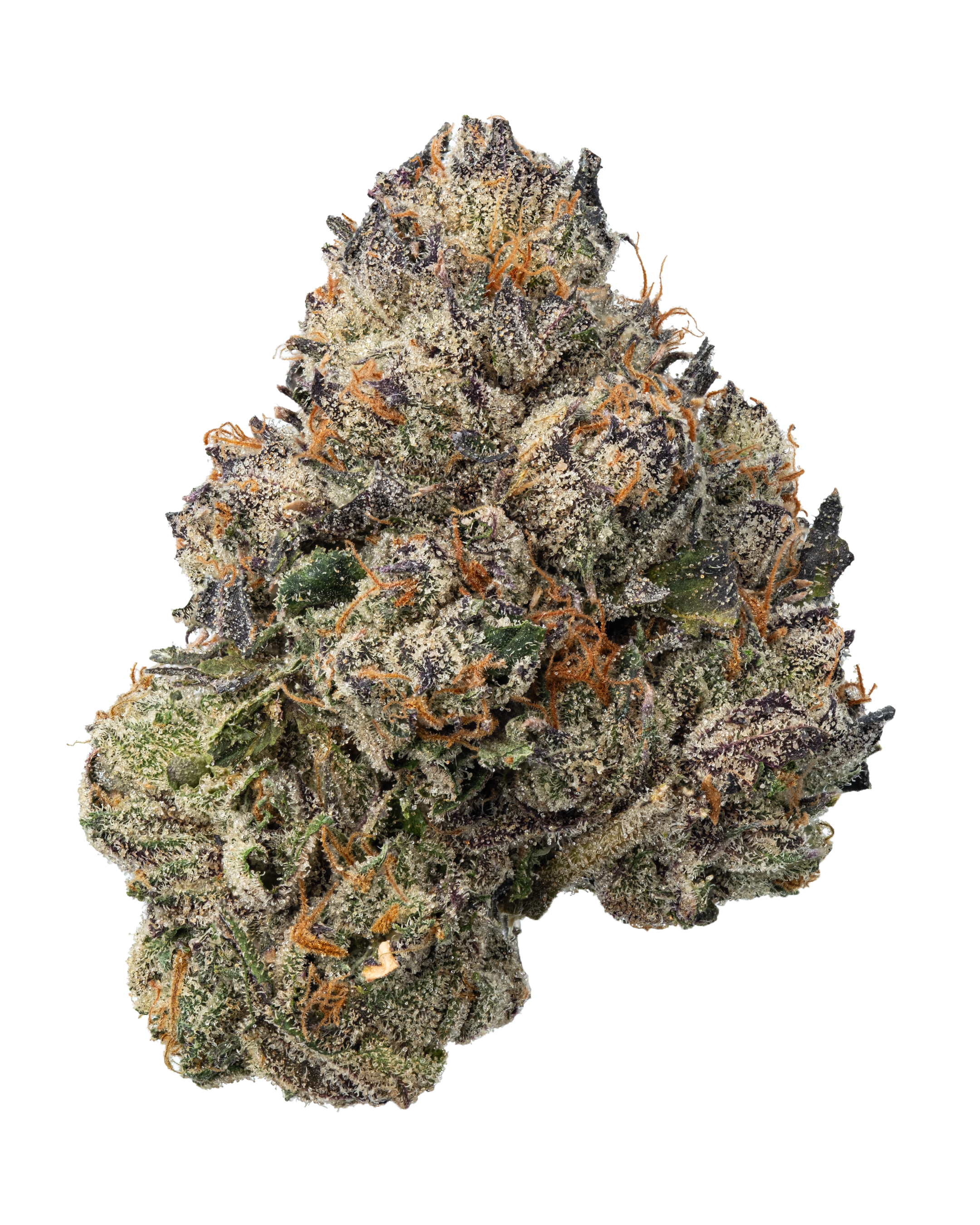 Photograph of product: Fresh | Detroit Runtz - 3.5g