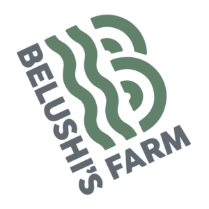 Photograph of product: Hashburger Ice Water Hash (1g)