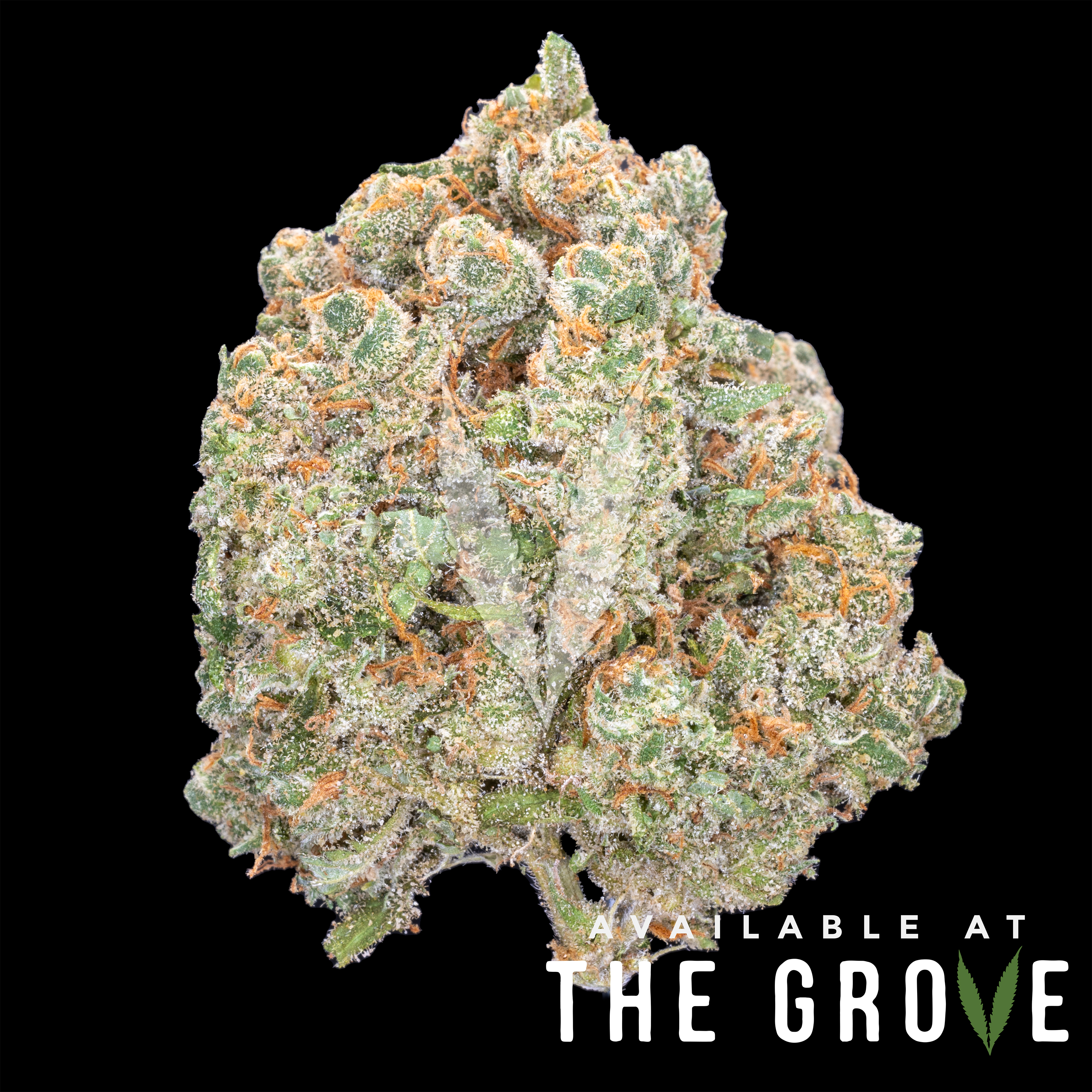 Photograph of product: LAX Packs | Super Jack 1g Flower