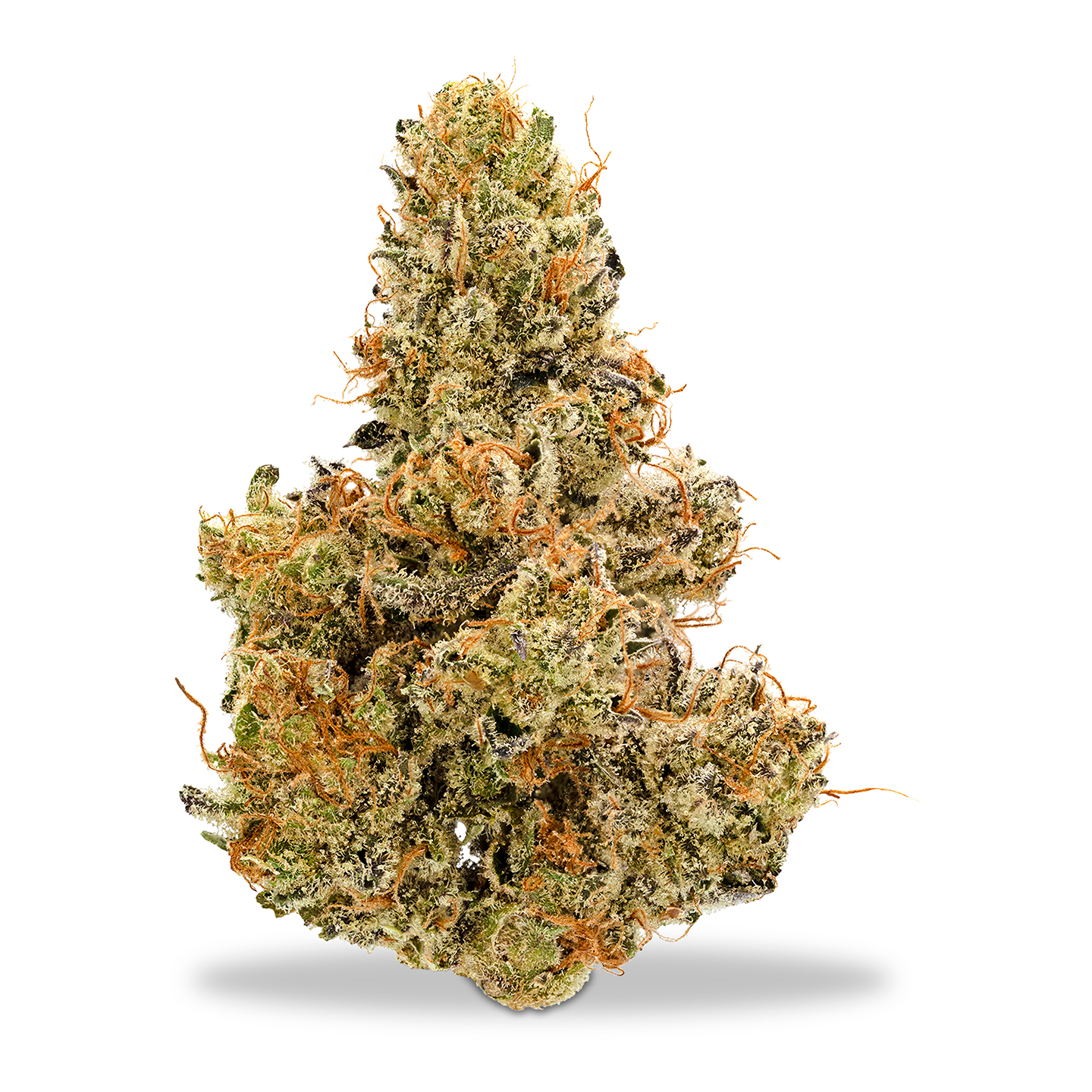 Photograph of product: Deep Creek Gardens - Bonkers - 1g