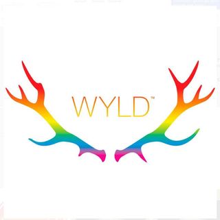 Photograph of product: Wyld One | Raspberry Lime 1:1 | Single Gummy 100mg