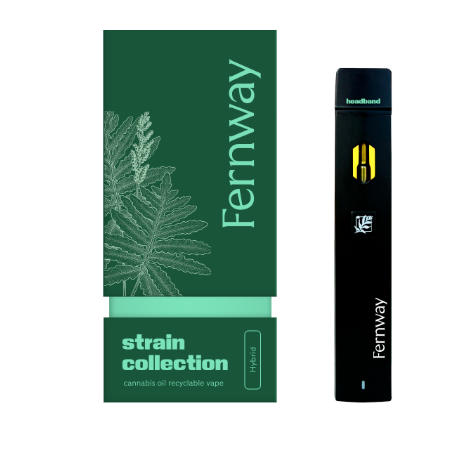 Photograph of product: Fernway | Headband | AIO