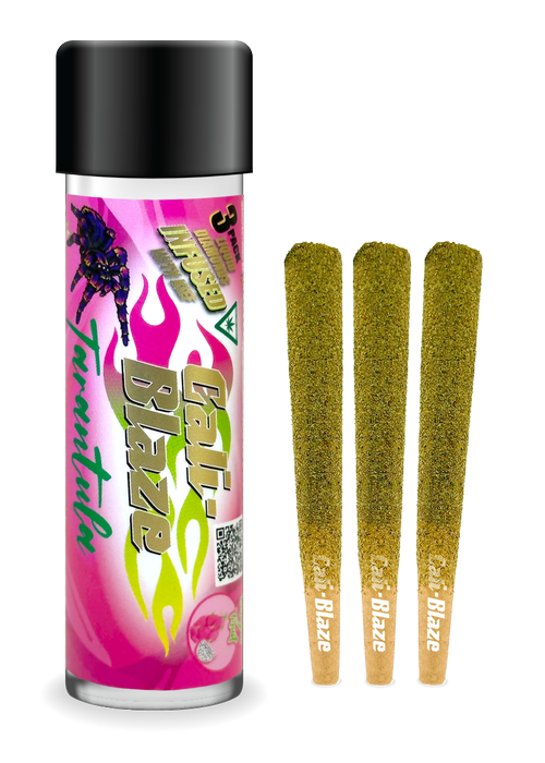 Photograph of product: Dragon Fruit Tarantula 3-pack | 3g