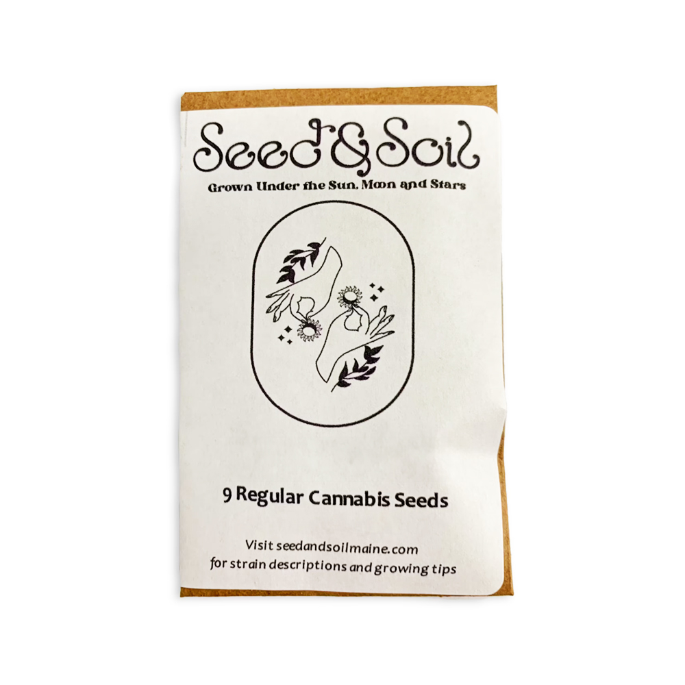 Photograph of product: Seed Package - Midcoast Mojito - 5pk (Feminized)