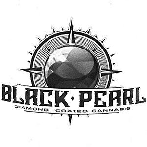 Photograph of product: Black Pearl Infused 3.5g Apple Gas