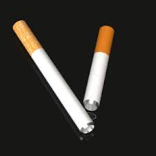 Photograph of product: Sneak A Toke Cig