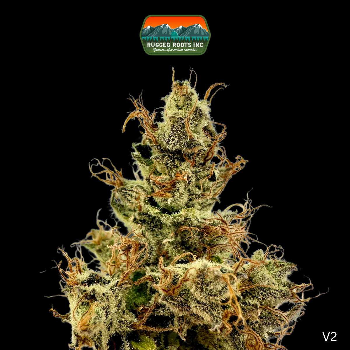 Photograph of product: Rugged Roots | Dizzzy Smalls 3.5g