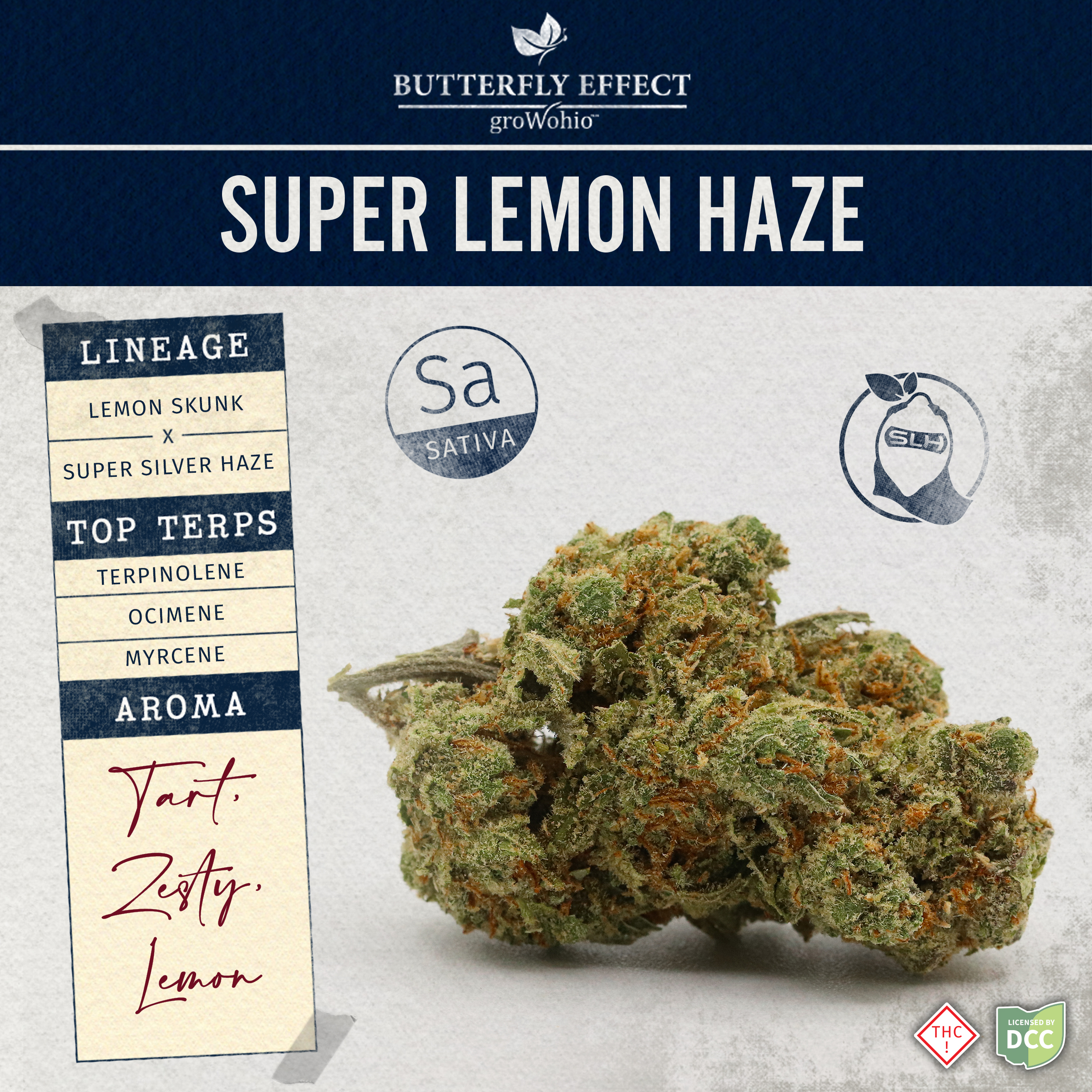 Photograph of product: Super Lemon Haze | 28.3g