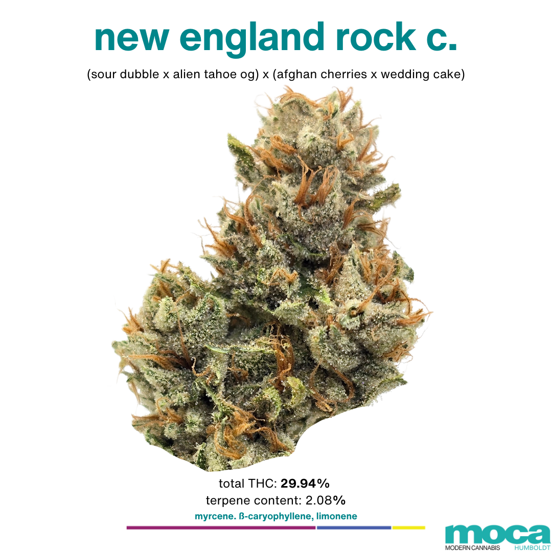 Photograph of product: MOCA | New England Rock Candy - 3.5g