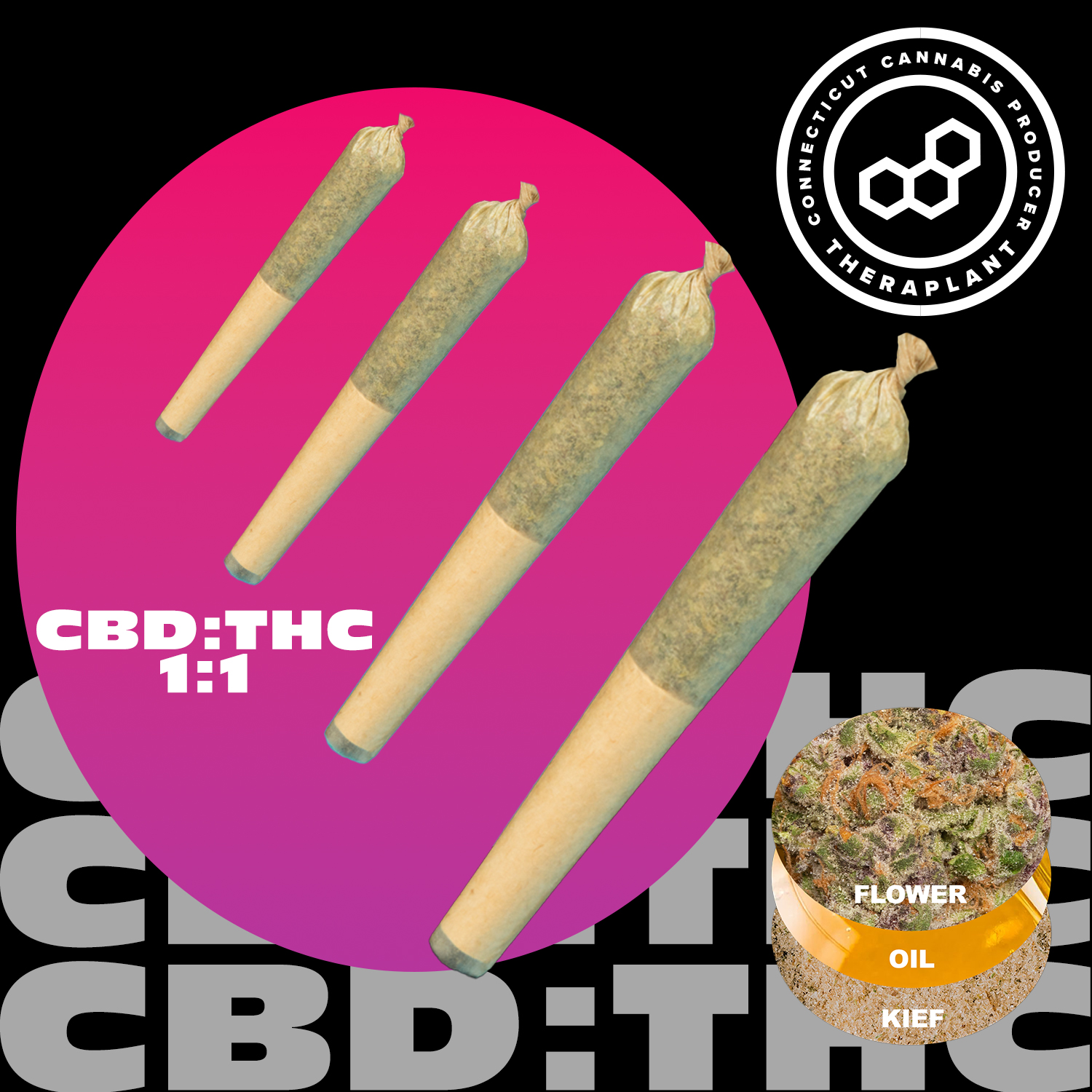 Photograph of product: THERAPLANT | Lato 1:1 | (Minis) Preroll 4pk | 1.6g