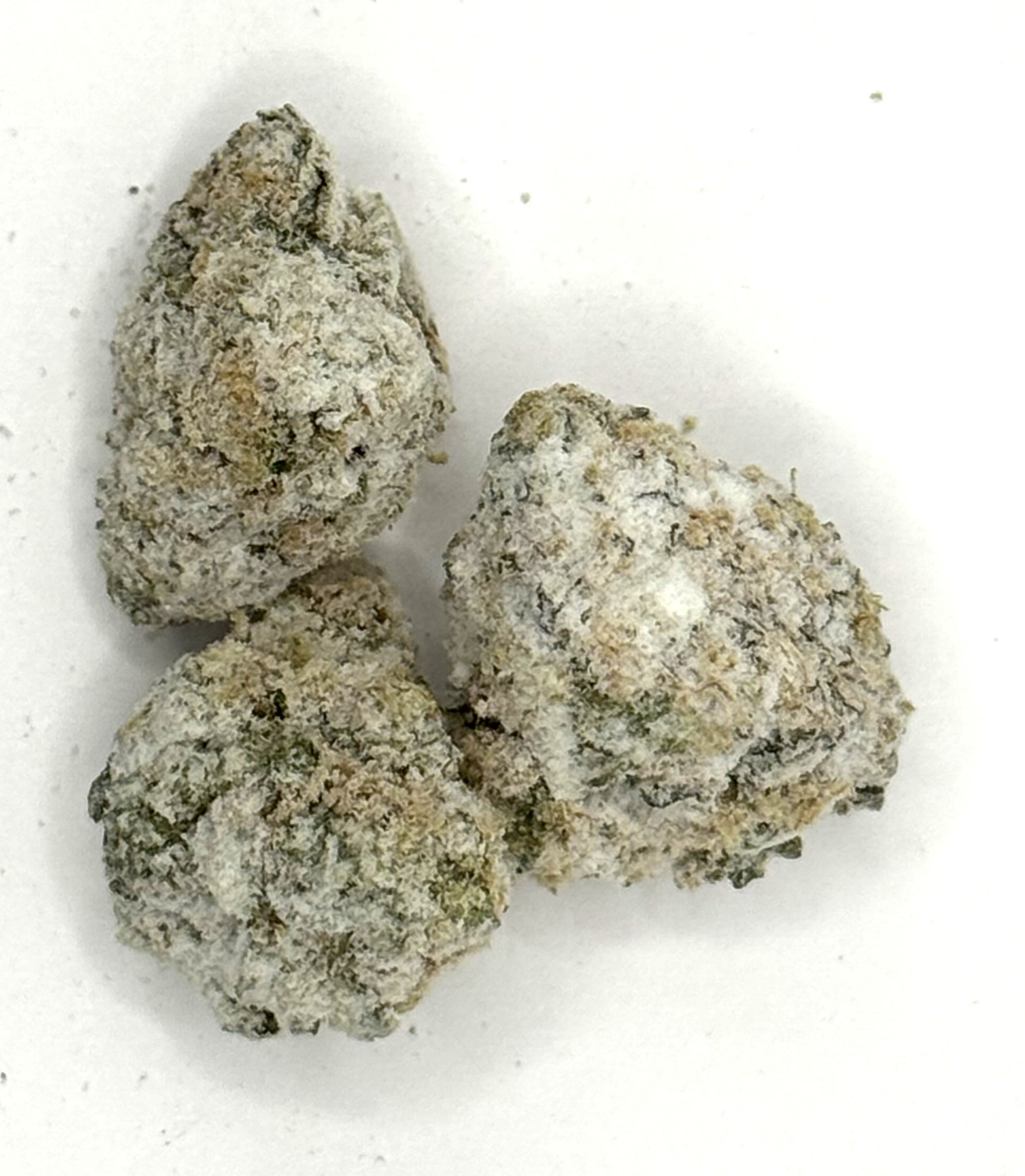 Photograph of product: Snow Caps | Specimen X | 3.5G TH-ouiA Infused Flower