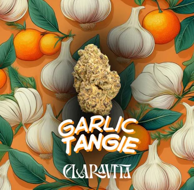 Photograph of product: Garlic Tangie 3.5g