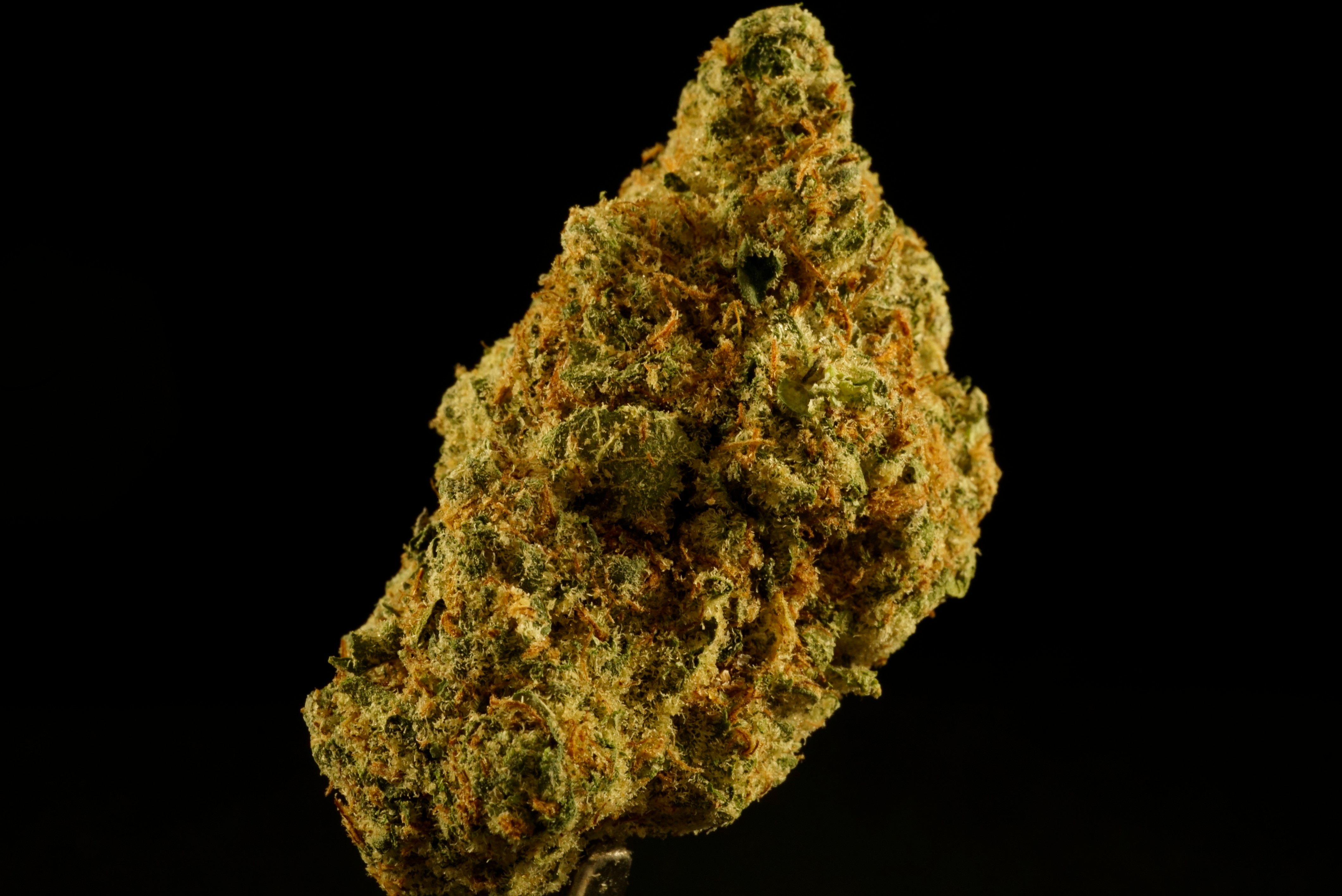 Photograph of product: Han Solo Burger - 1g