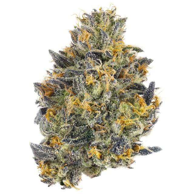 Photograph of product: Red Bubblegum Pre Roll - 1g