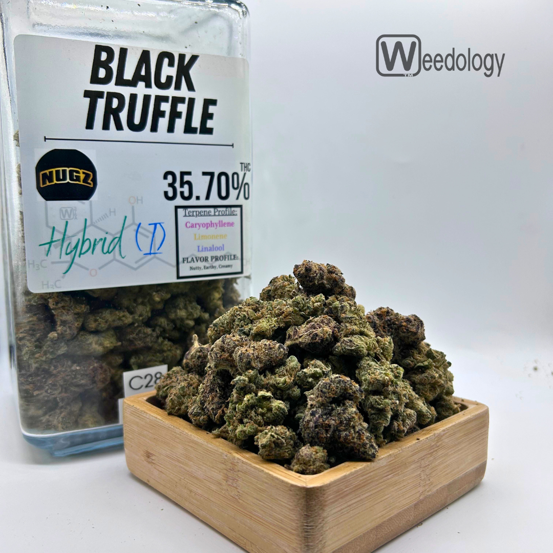 Photograph of product: Black Truffle (I-H) - 1g