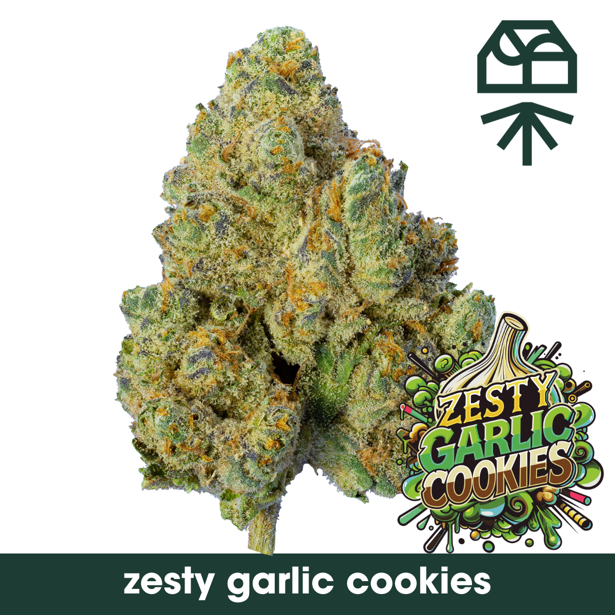 Photograph of product: Zesty Garlic Cookies Whole Flower - 14g
