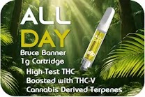 Photograph of Product: E29 Labs l Vape Cart l Bruce Banner 1G