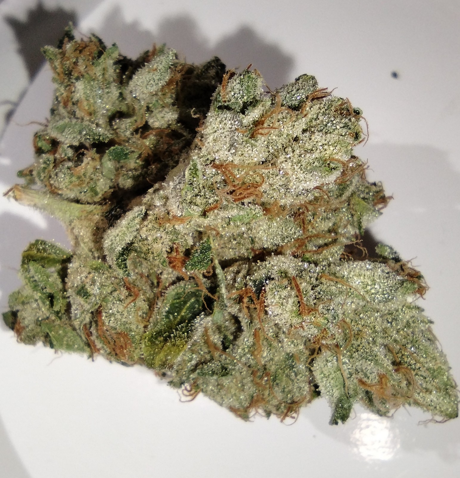 Photograph of product: Dakota Natural Growers - MPK X SFV X Headbanger - 7g - Flower