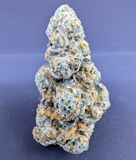 Photograph of product: First Class Funk - Buds - 3.5g