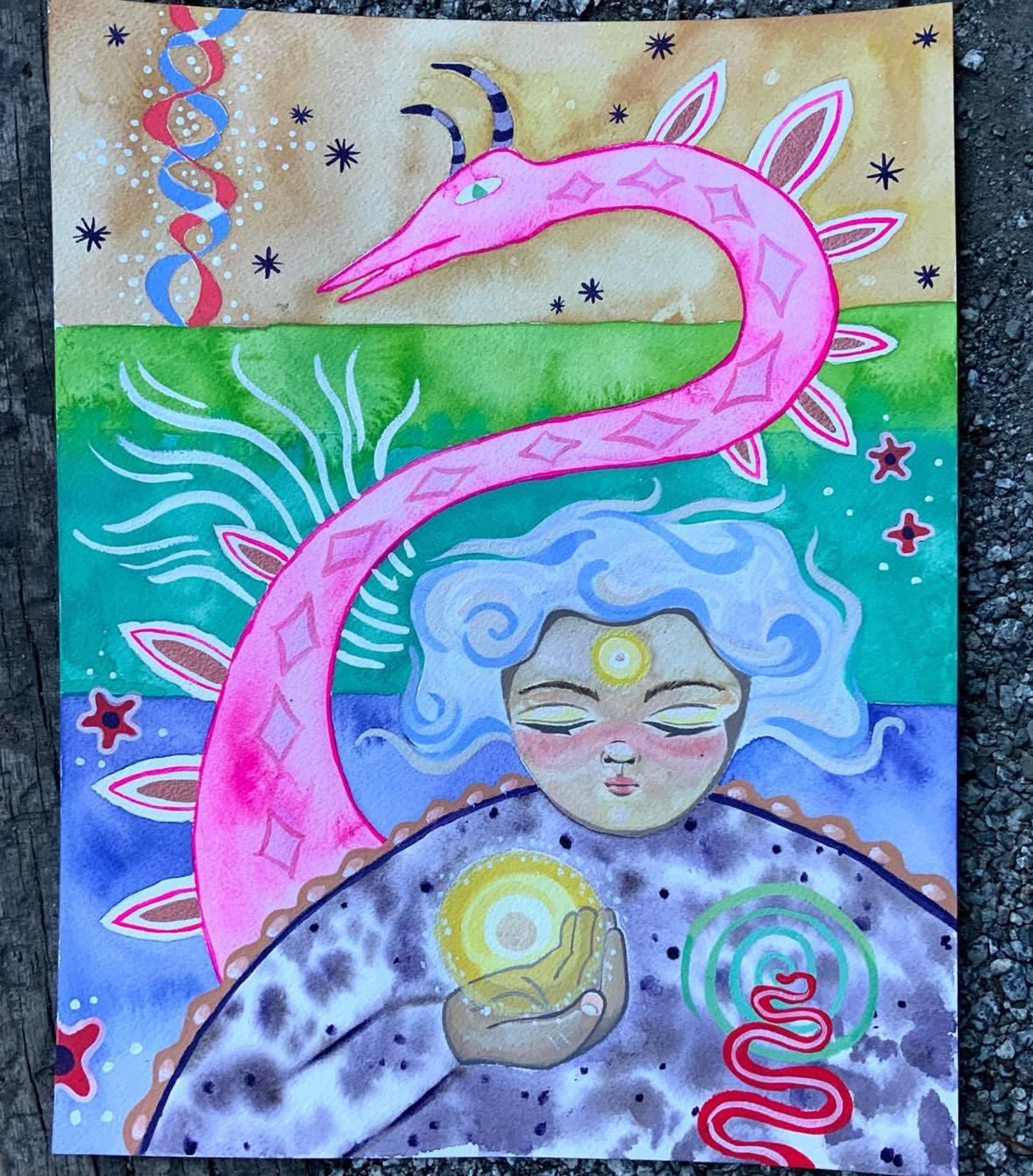 Photograph of product: Curious Creation