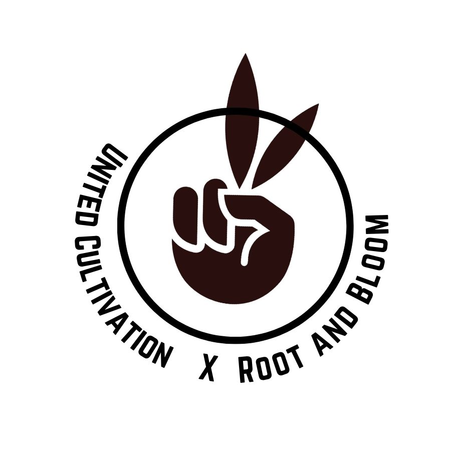 Photograph of product: Northern Lights - 3.5g