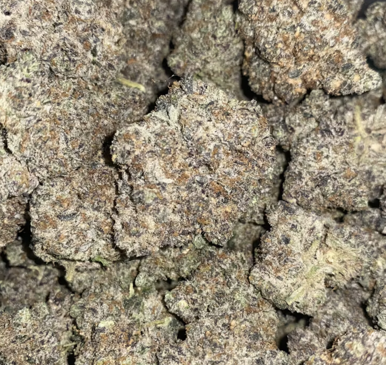 Photograph of product: Kept Secret | Premium Flower - 28g